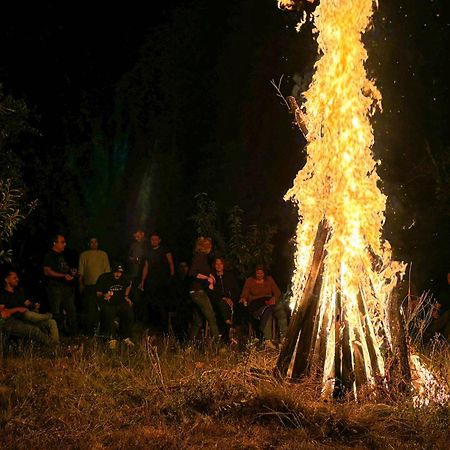 Conacul Bunicilor Hotel Novaci Bagian luar foto
